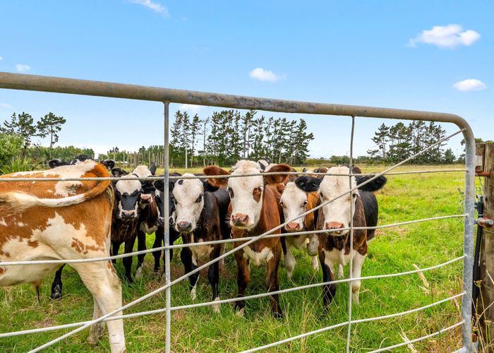  at 331 South Head Road, South Head, Helensville, Rodney, Auckland