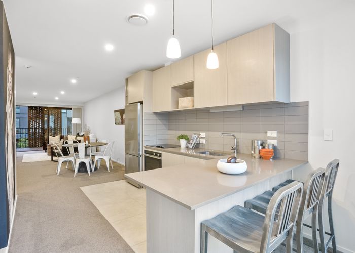  at 301/13 Cheshire Street, Parnell, Auckland