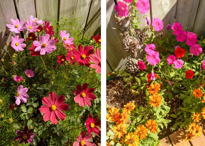  at 107/11 Kamahi Crescent, Papamoa, Tauranga, Bay Of Plenty