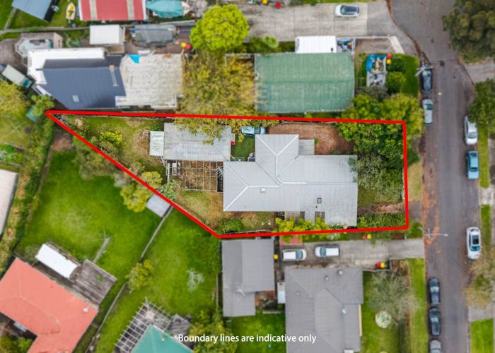  at 20 Challinor Street, Pakuranga, Manukau City, Auckland