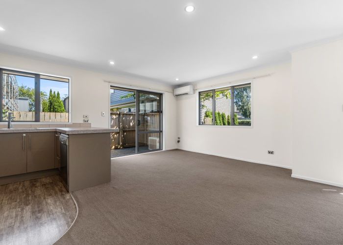  at 20 Stadium Lane, Whitiora, Hamilton
