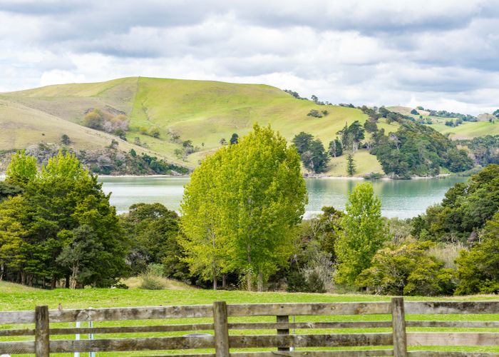  at 443 Pahi Road, Pahi, Paparoa