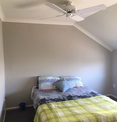  at 195C Killarney Road, Frankton, Hamilton, Waikato