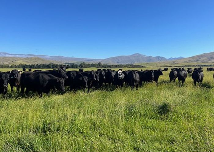  at 46 McCready Road, Kyeburn, Central Otago, Otago