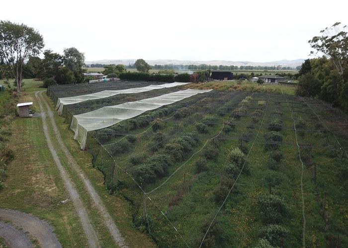  at 549A Seddon Road, Gordonton