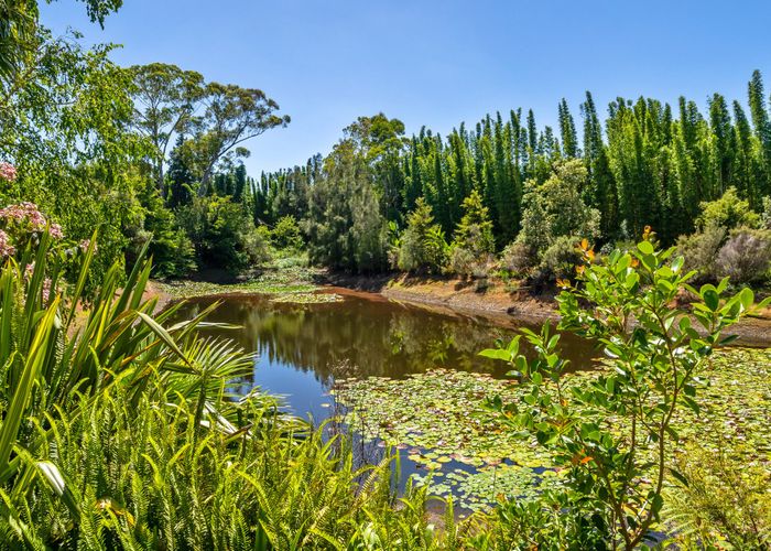  at 123C Ness Road, Kerikeri