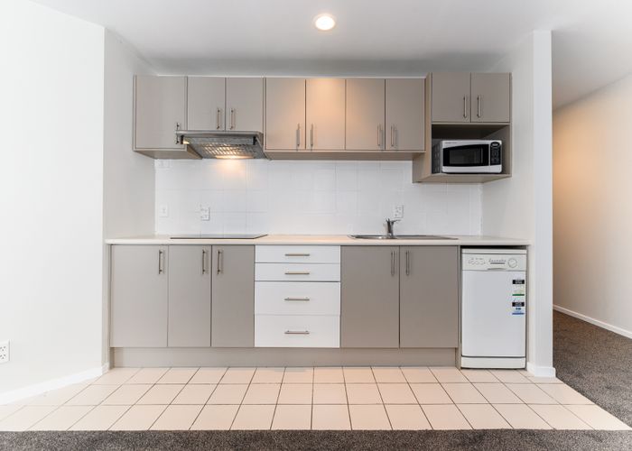  at 13F/33 Mount Street, Auckland Central, Auckland