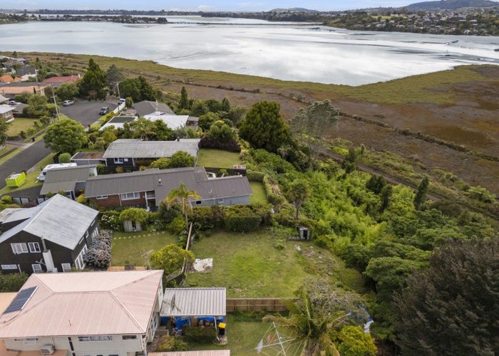  at 64B Harrier Street, Parkvale, Tauranga, Bay Of Plenty