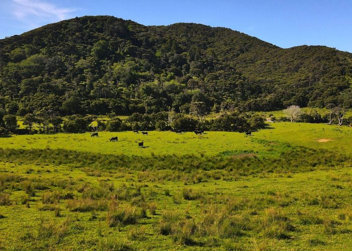  at 593 Port Charles Road, Port Charles, Thames-Coromandel, Waikato