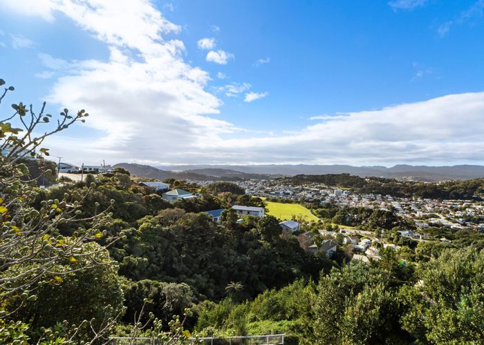  at 79 & 79A Farnham Street, Mornington, Wellington, Wellington