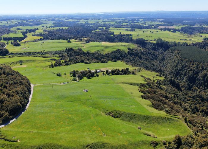  at 869 and 668 Mangatoi Road, Oropi, Western Bay Of Plenty, Bay Of Plenty