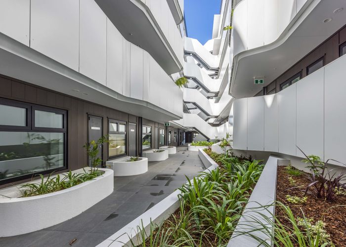  at 428 Dominion Road, Mount Eden, Auckland City, Auckland