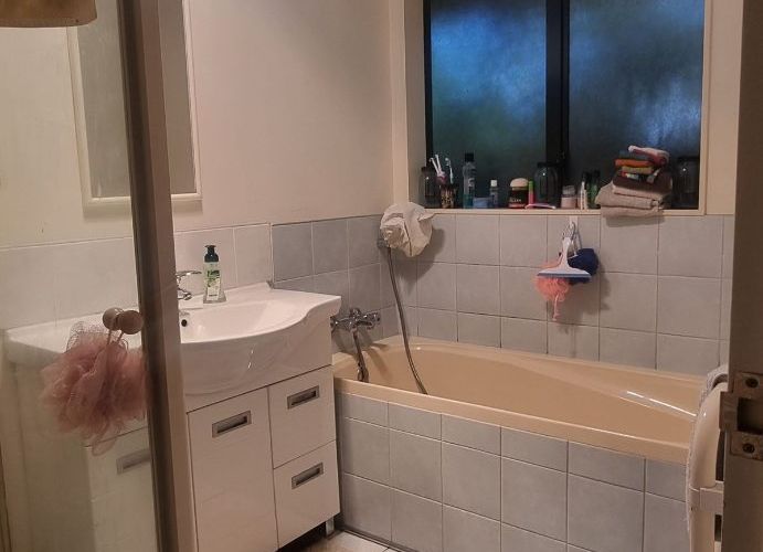  at 23 Michael Jones Drive, Flat Bush, Manukau City, Auckland