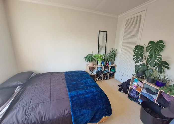  at 23 Ngaio Street, Strandon, New Plymouth