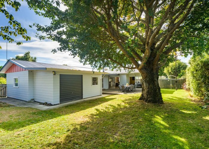  at 30 Snowdon Avenue, Terrace End, Palmerston North