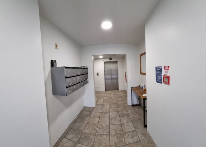  at 17 Scanlan Street, Grey Lynn, Auckland City, Auckland