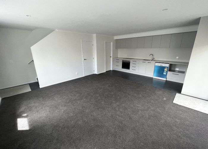  at 101 Daniell Street, Newtown, Wellington
