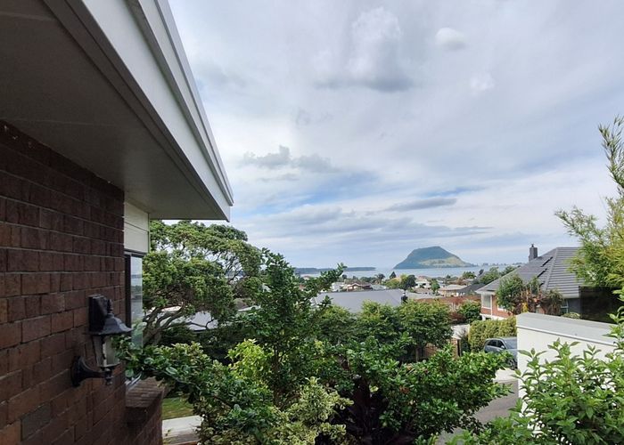  at 15a Norton Road - CHERRYWOOD, Matua, Tauranga, Bay Of Plenty