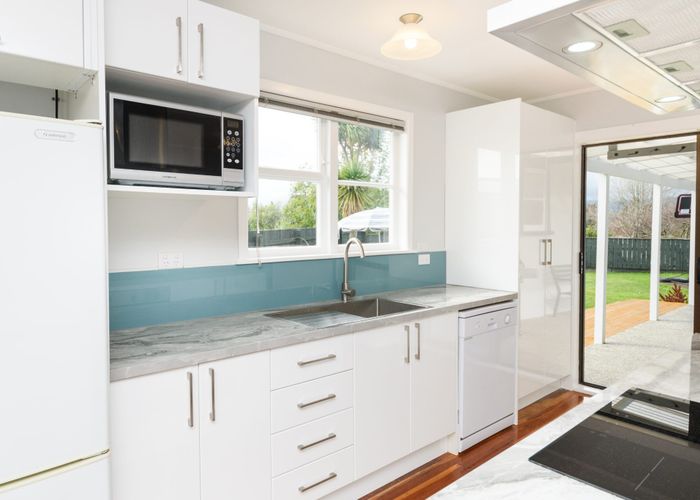  at 46 Leicester Street, Terrace End, Palmerston North