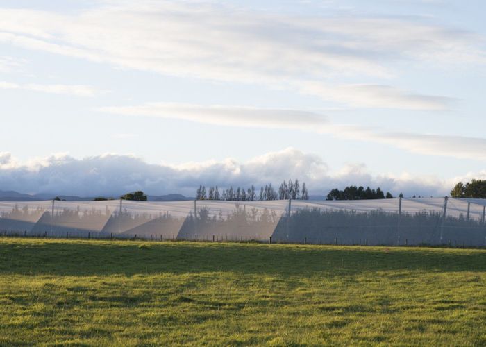  at 78 Gregs Lane, RD 1, Greytown, South Wairarapa, Wellington
