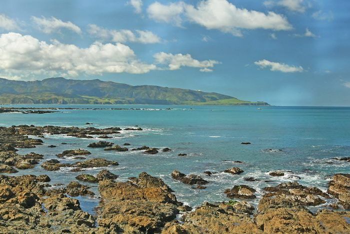  at 150 The Esplanade, Houghton Bay, Wellington, Wellington