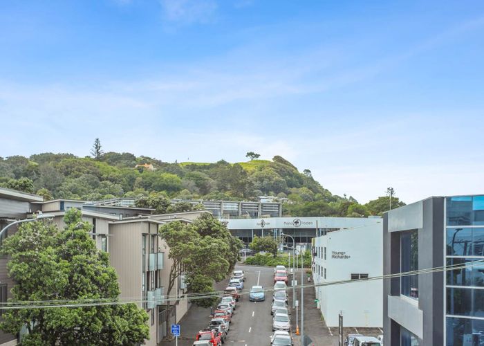  at 208/1 Enfield Street, Mount Eden, Auckland City, Auckland