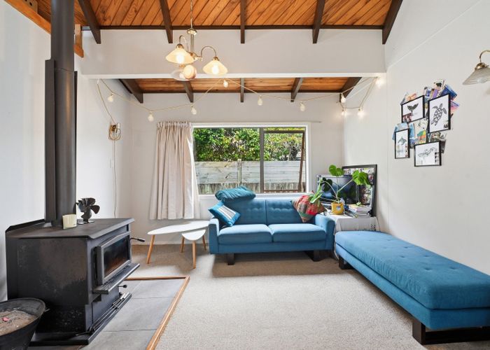  at 19 Larch Street, Victoria, Rotorua, Bay Of Plenty