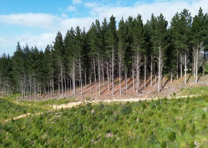  at Perry Road, Milton, Clutha, Otago