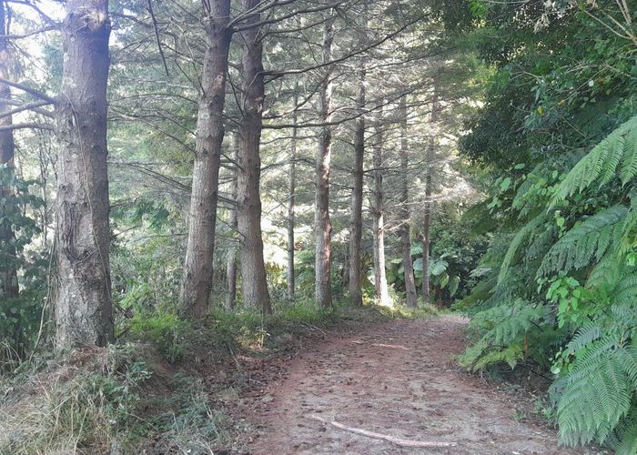  at Takaka Hill, Takaka, Tasman, Nelson / Tasman