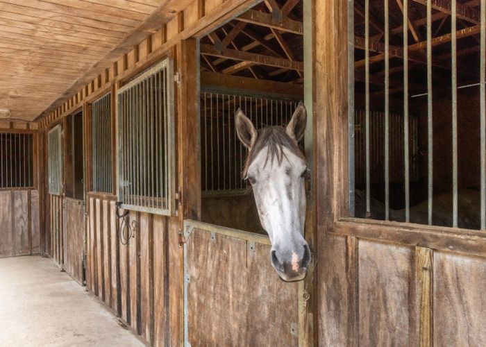  at 6 Ellett Road, Karaka, Franklin, Auckland