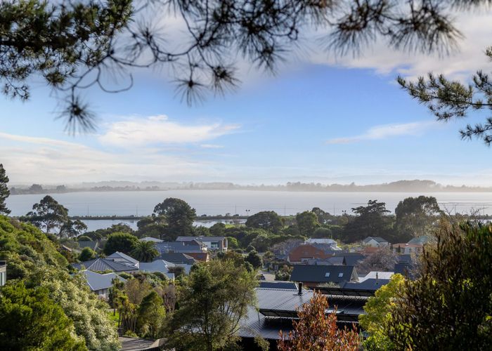  at 8 Virginia Lane, Mount Pleasant, Christchurch City, Canterbury