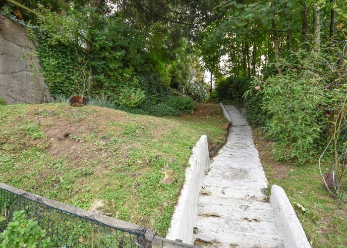  at 20 Clark Street, City Centre, Dunedin, Otago