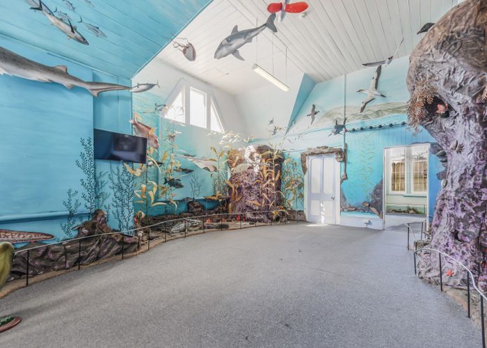  at 61 Main Road, Havelock, Marlborough, Marlborough
