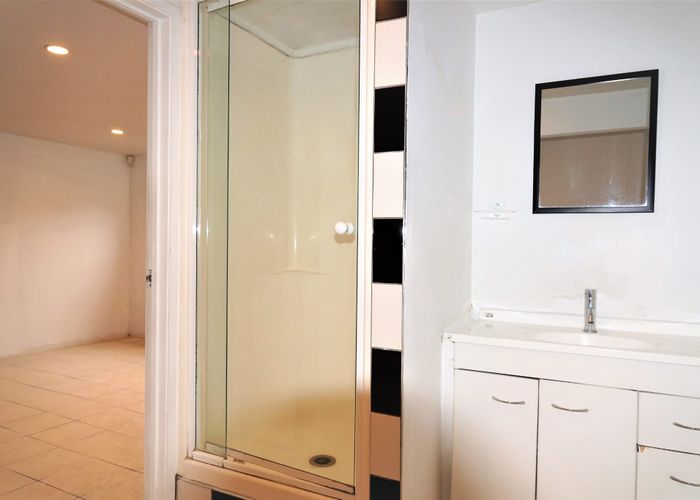  at 113c Tiverton Road, New Windsor, Auckland City, Auckland