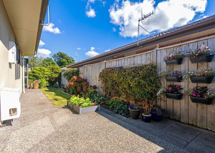 at 25 Alfred Street, Roslyn, Palmerston North