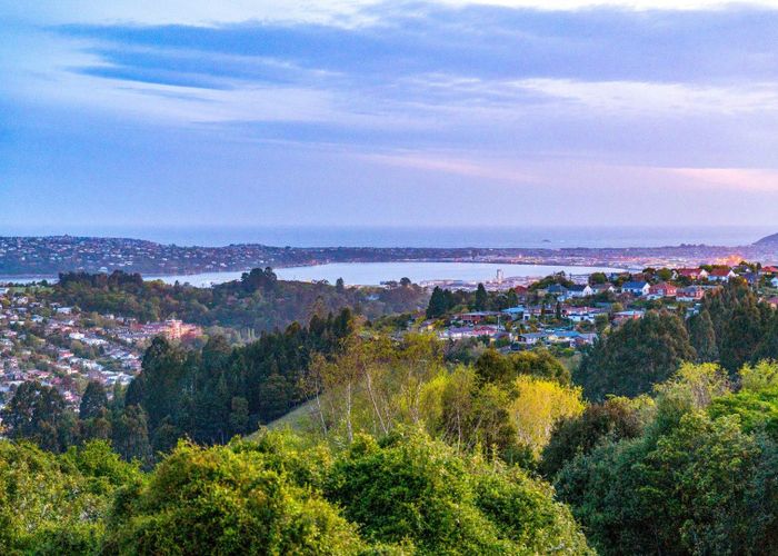  at 8 Watkin Street, Pine Hill, Dunedin, Otago