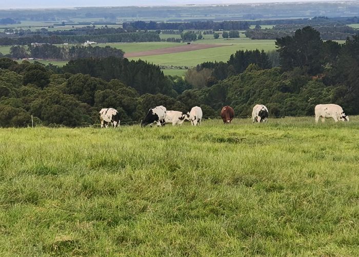  at 137 Kahikatea Drive, Winton, Southland, Southland