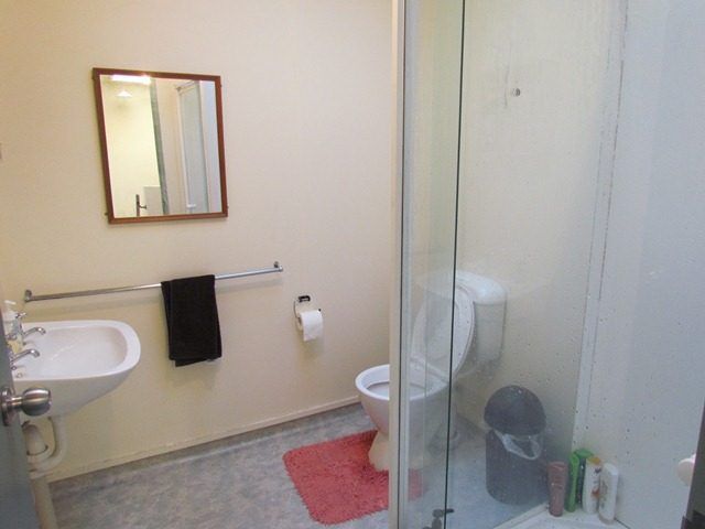  at 17 Howe Street, North Dunedin, Dunedin, Otago