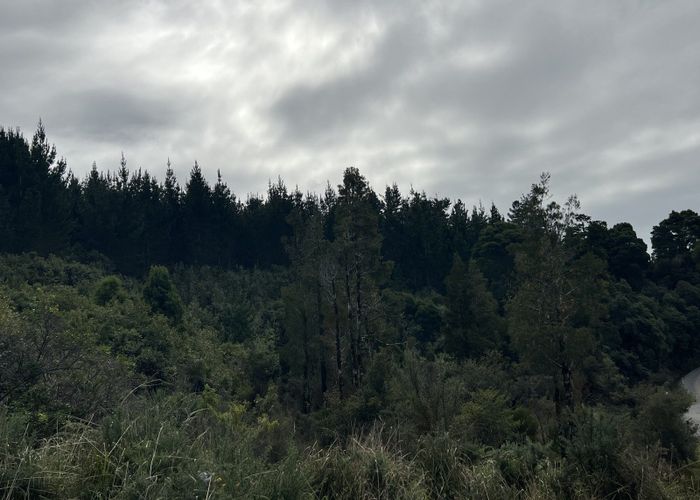 at Lot . Omoto Valley Road, Greymouth, Grey, West Coast