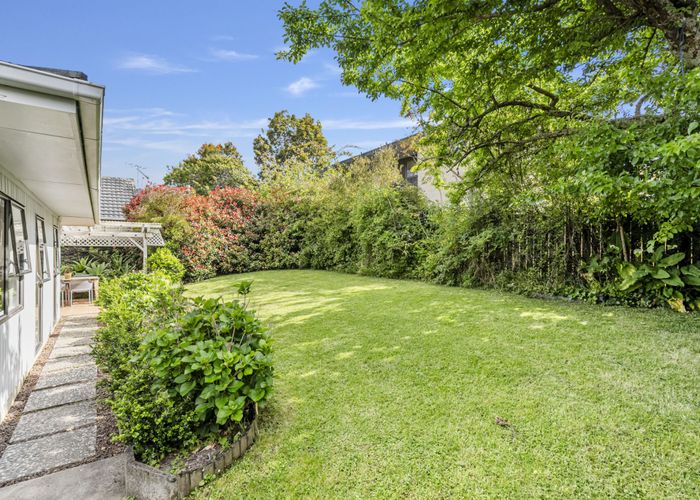  at 67 John Downs Drive, Browns Bay, Auckland