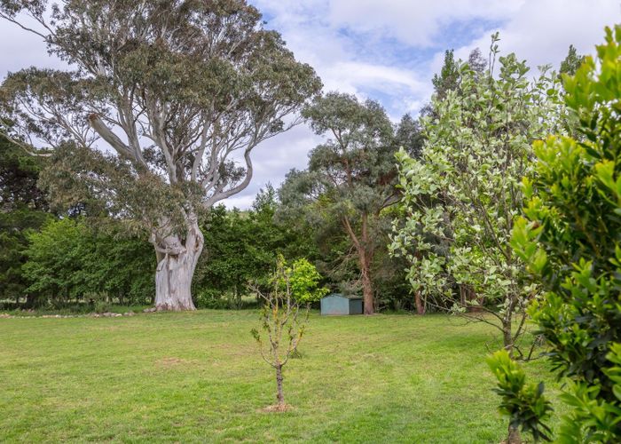  at 17 Algies Road, Featherston