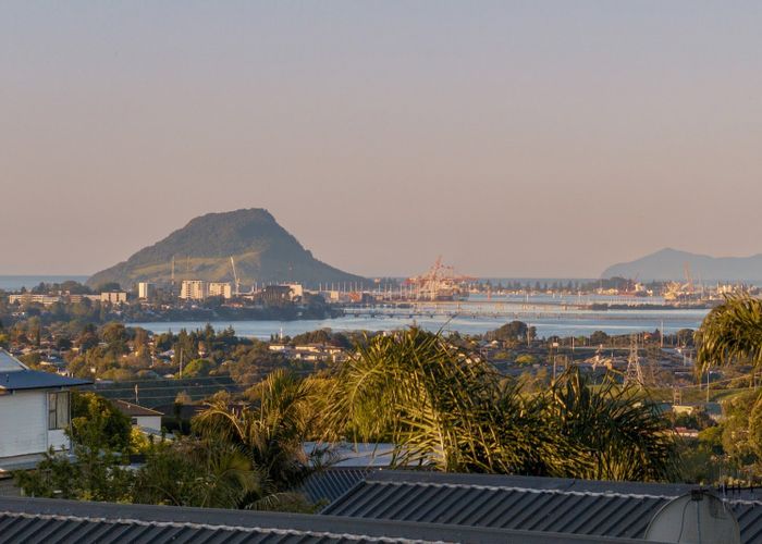  at 7 Upper Ohauiti Road, Ohauiti, Tauranga, Bay Of Plenty