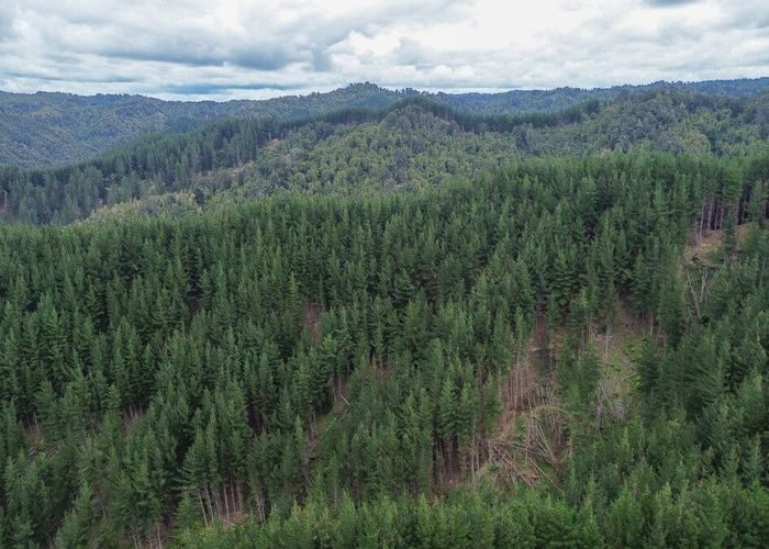 For sale 3811 Waitotara Valley Road, Ngamatapouri, Waitotara, South