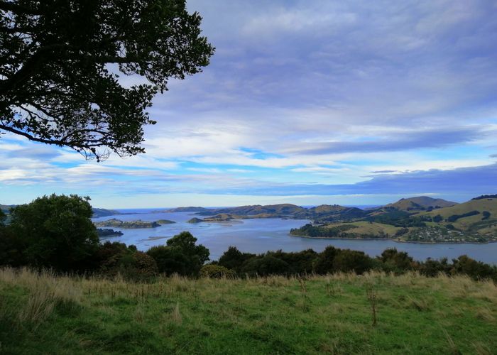  at 66 Kakapo Street, Saint Leonards, Dunedin, Otago