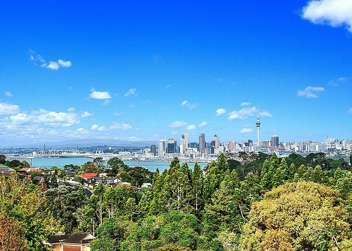  at 50 Balmain Road, Chatswood, Auckland