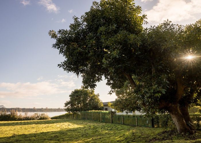  at 206 Ranginui Road, Welcome Bay, Tauranga, Bay Of Plenty