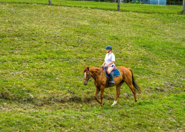  at 3 Mahurangi East Road, Sandspit, Rodney, Auckland
