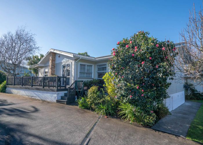  at 80 Webster Avenue, Mount Roskill, Auckland
