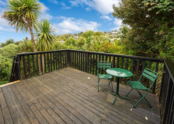  at 12 Dalry Street, Mornington, Dunedin, Otago