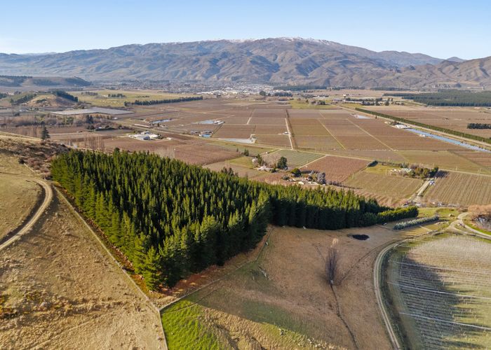 at Lot 1 & 5 Ripponvale Road, Cromwell, Central Otago, Otago